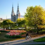 Rowerzysta przemierza park w Ottawie, stolicy Kanady, wśród kwitnących tulipanów i zieleni, z widokiem na katedrę.