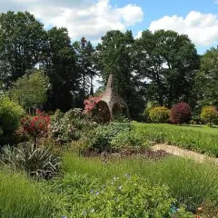 Kiedy jechać do arboretum wojsławice, aby zobaczyć kwitnące cuda