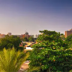 Widok na miasto w Nigerze z palmami i zielenią. W tle budynki mieszkalne i biurowe.