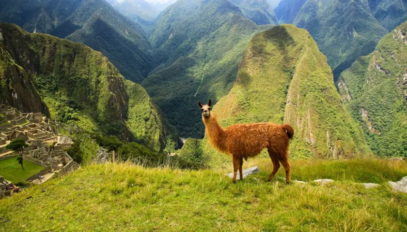 Kiedy jechać do Peru? Najlepszy czas na niezapomnianą podróż