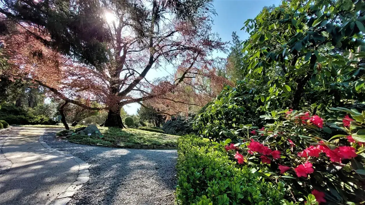 Zdjęcie Kiedy jechać do arboretum wojsławice, aby zobaczyć kwitnące cuda